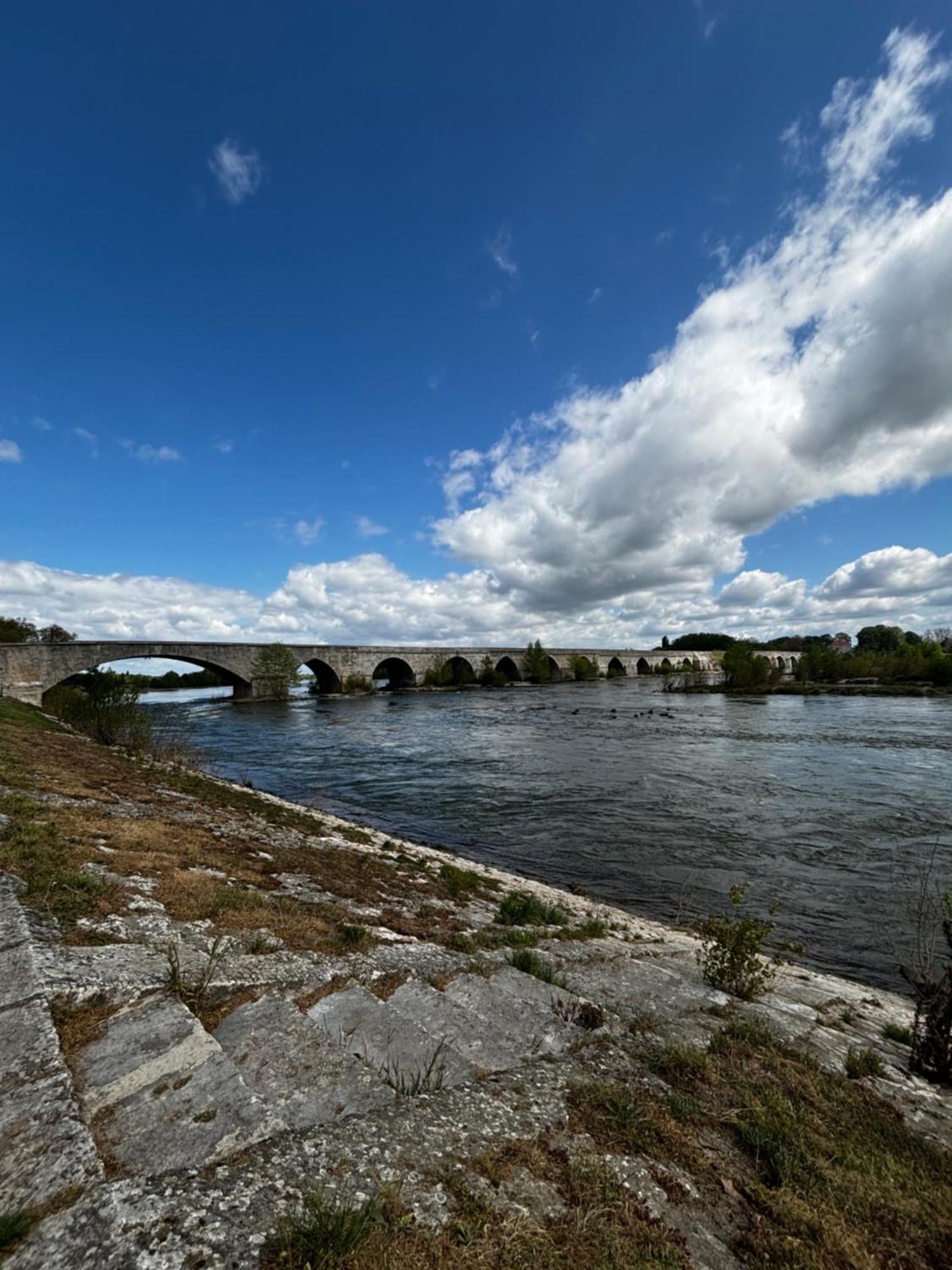 Studio Vue Sur Loire Beaugency Eksteriør bilde